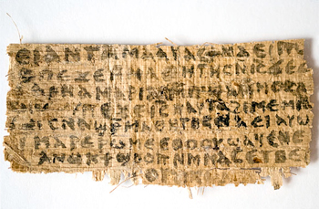 Papyrus