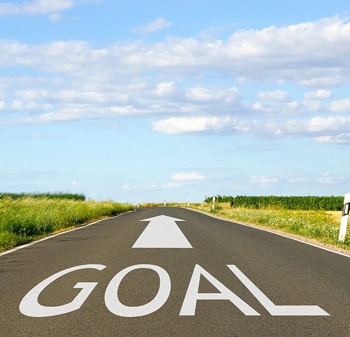 Set a Goal, Reach a Goal in VBS