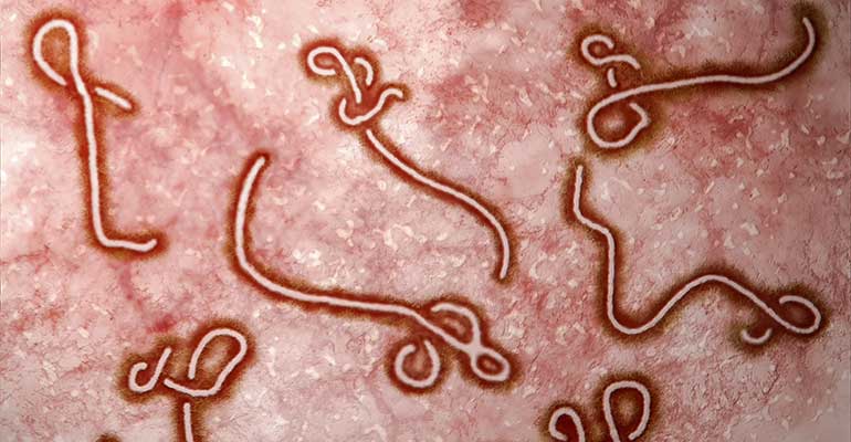 Ebola_lead
